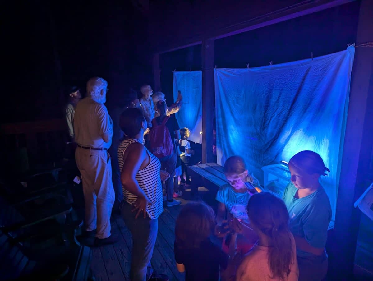 people looking at moths at night