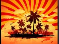 Tropical sunset illustration
