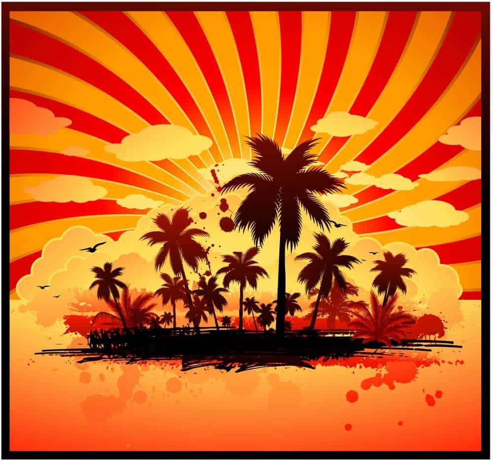 Tropical sunset illustration