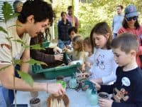 Children exploring plants