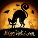 Halloween illustration with black cat on moon background.
