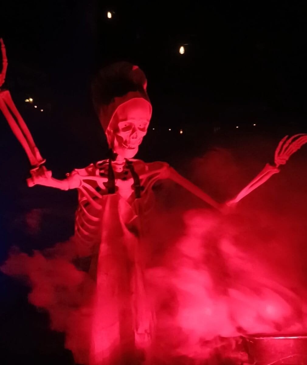 skeleton