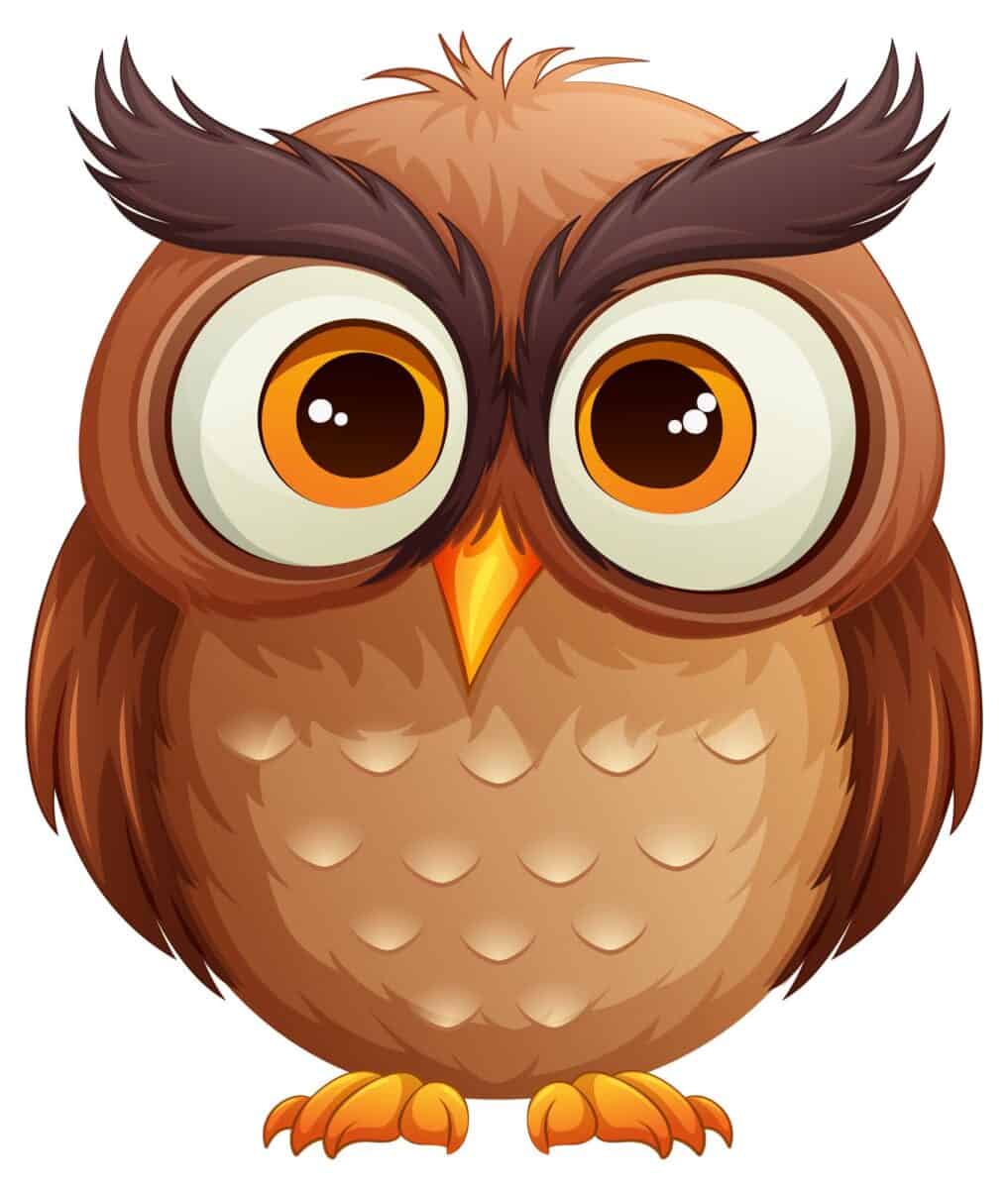 Illustration of owl