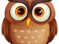 Illustration of owl