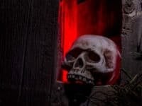 Scary Halloween skull bones sitting in hole in old abandoned wood building lit with red light