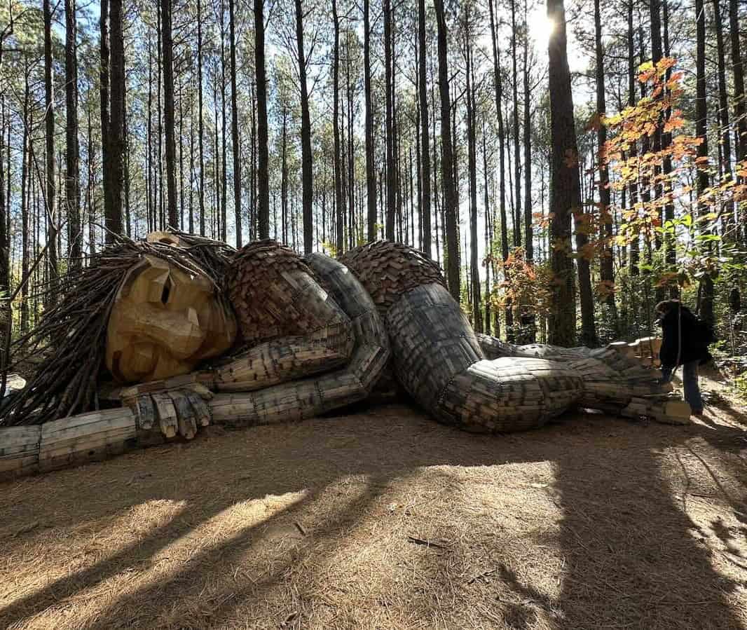 Troll by Thomas Dambo at Dix Park