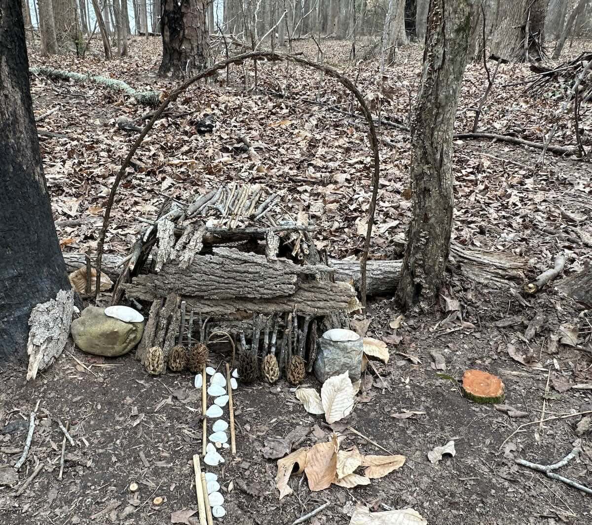 Fair House in woods