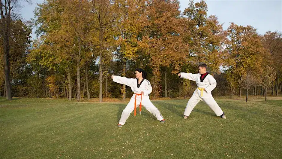 Taekwondo outdoors