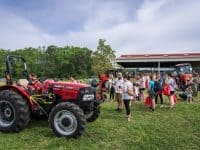 Child on a tractor in a field