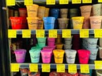 Pints of ice cream in freezer in store