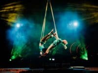 Aerial performers at night