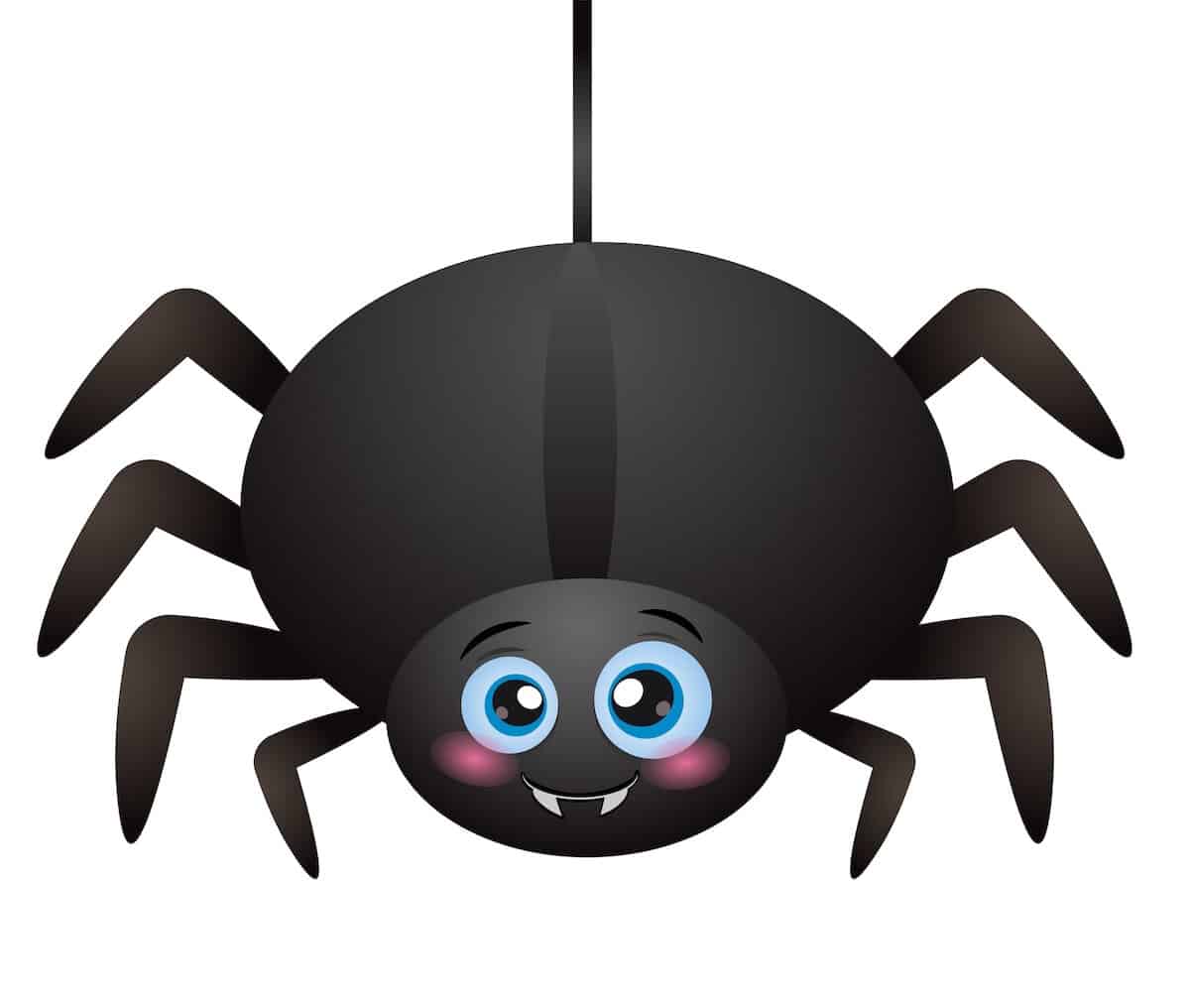 Spider Stories -- Historia de Aranas
