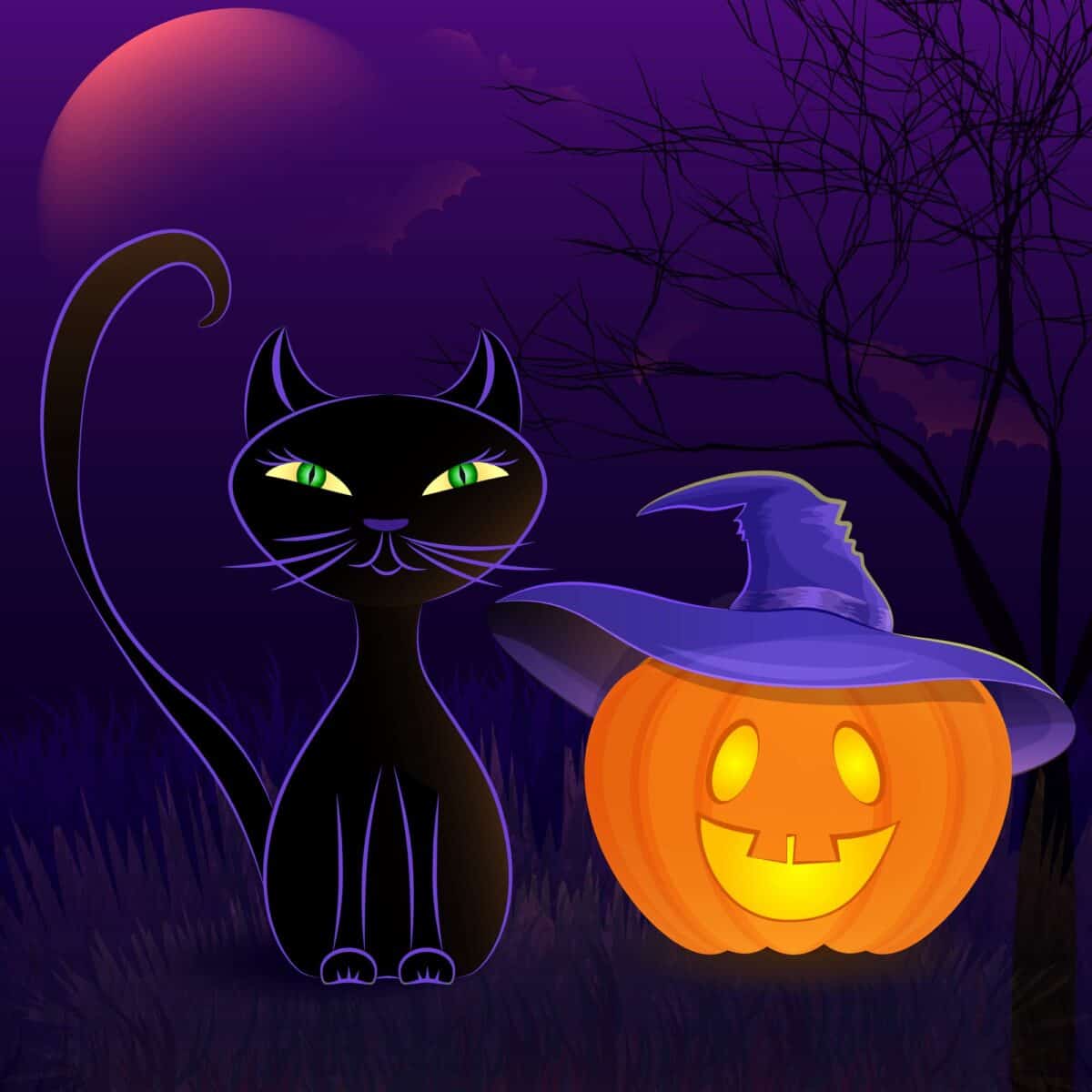 Halloween night vector poster with black cat, Jack O'Lantern in witch's hat, moon and bats against spooky night background.