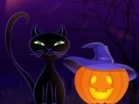 Halloween night vector poster with black cat, Jack O'Lantern in witch's hat, moon and bats against spooky night background.